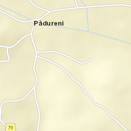 Pădureni Street Map