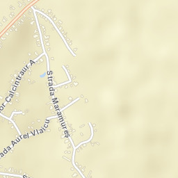 Municipiul Dorohoi Street Map