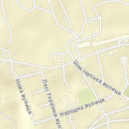 Solotvyno Street Map