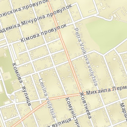 Ilovays’k Street Map