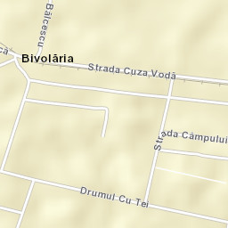 Bivolărie Street Map