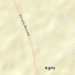 Agriș Street Map