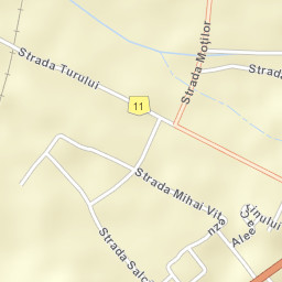 Oraş Negreşti-Oaş Street Map