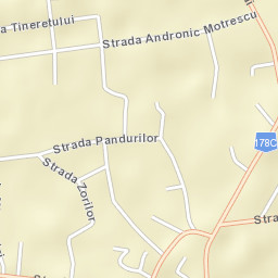 Municipiul Rãdãuţi Street Map