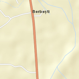 Berbești Street Map