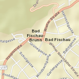 Bad Fischau Street Map