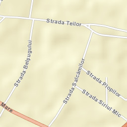 Botiz Street Map