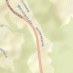 Ebenau Street Map