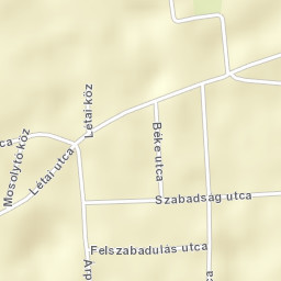 Szakoly Street Map