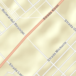 Rîbniţa Street Map