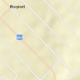 Roșiori Street Map
