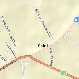 Seini Street Map