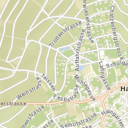 Hallau Street Map