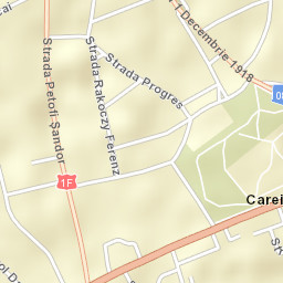 Municipiul Carei Street Map