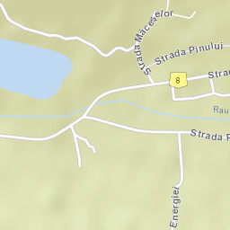 Băile Borșa Street Map