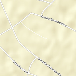 Viile Satu Mare Street Map