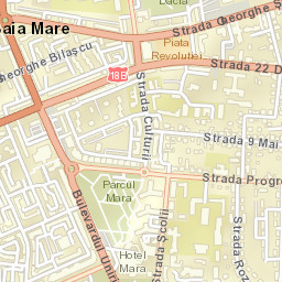 Baia Mare Street Map