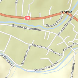 Borşa Street Map