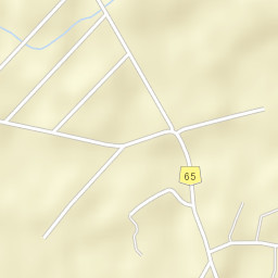 Bursuceni Street Map