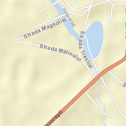 Ardud Street Map