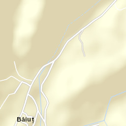 Băiuţ Street Map