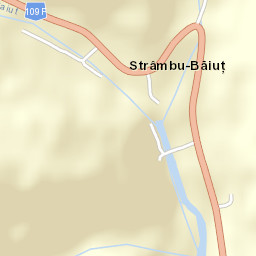 Strâmbu-Băiuț Street Map