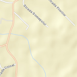 Fărcaşa Street Map
