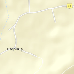 Cărpiniș Street Map