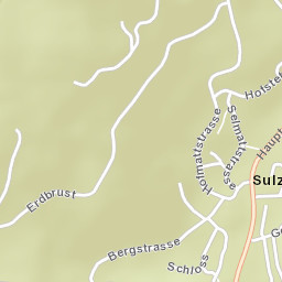 Sulz Street Map