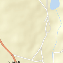 Bunești Street Map
