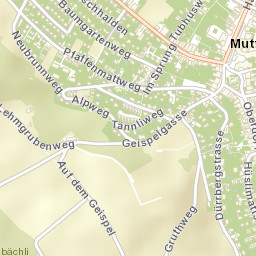 Muttenz Street Map