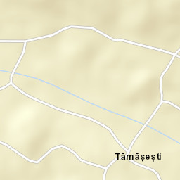 Tămășești Street Map