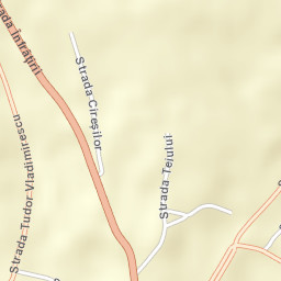Tăşnad Street Map
