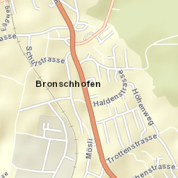 Bronschhofen Street Map