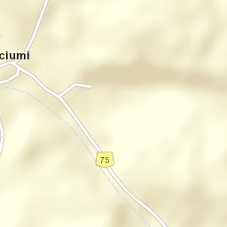Buciumi Street Map