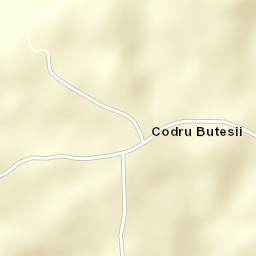 Codru Butesii Street Map