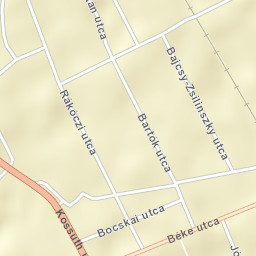 Szany Street Map