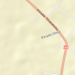 Târgu Lăpuş Street Map