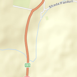 Fălticeni Street Map