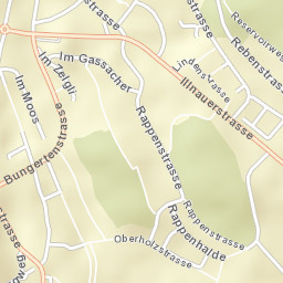 Effretikon / Rappenhalde-Bannhalde Street Map
