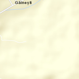 Găinești Street Map