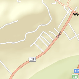 Wiesing Street Map