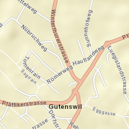Gutenswil Street Map