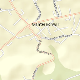 Ganterschwil Street Map