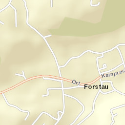 Forstau Street Map
