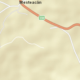 Mesteacăn Street Map