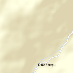 Târlişua Street Map