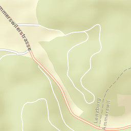 Bezirk Lenzburg Street Map