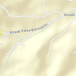 Valea Borcutului Street Map
