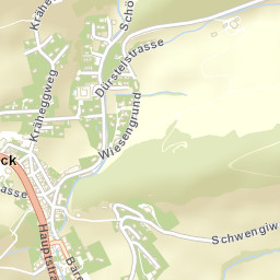 Langenbruck Street Map